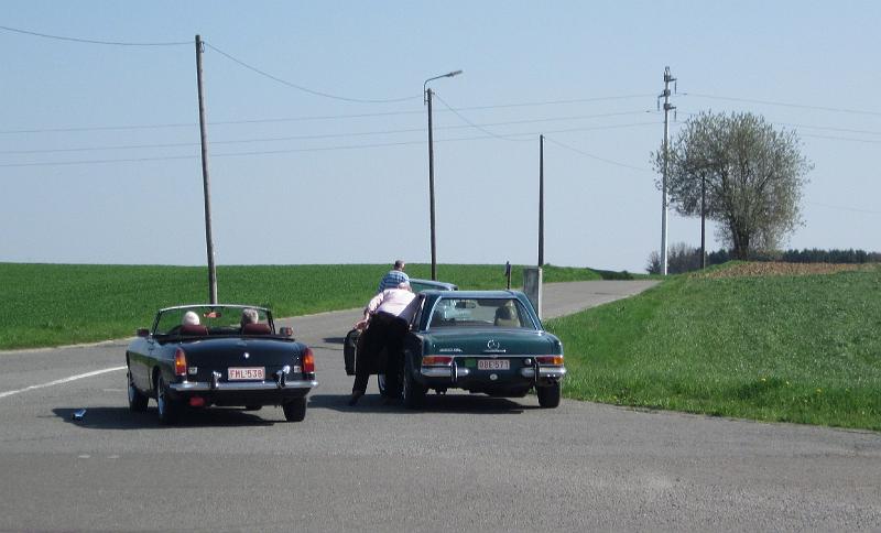 Namiddagrit van 65 km (6).JPG